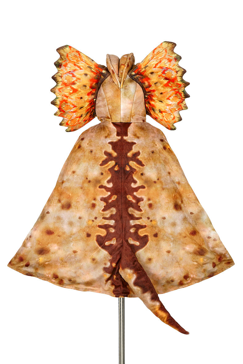 Souza Dilophosaurus Cape | 4-7Y