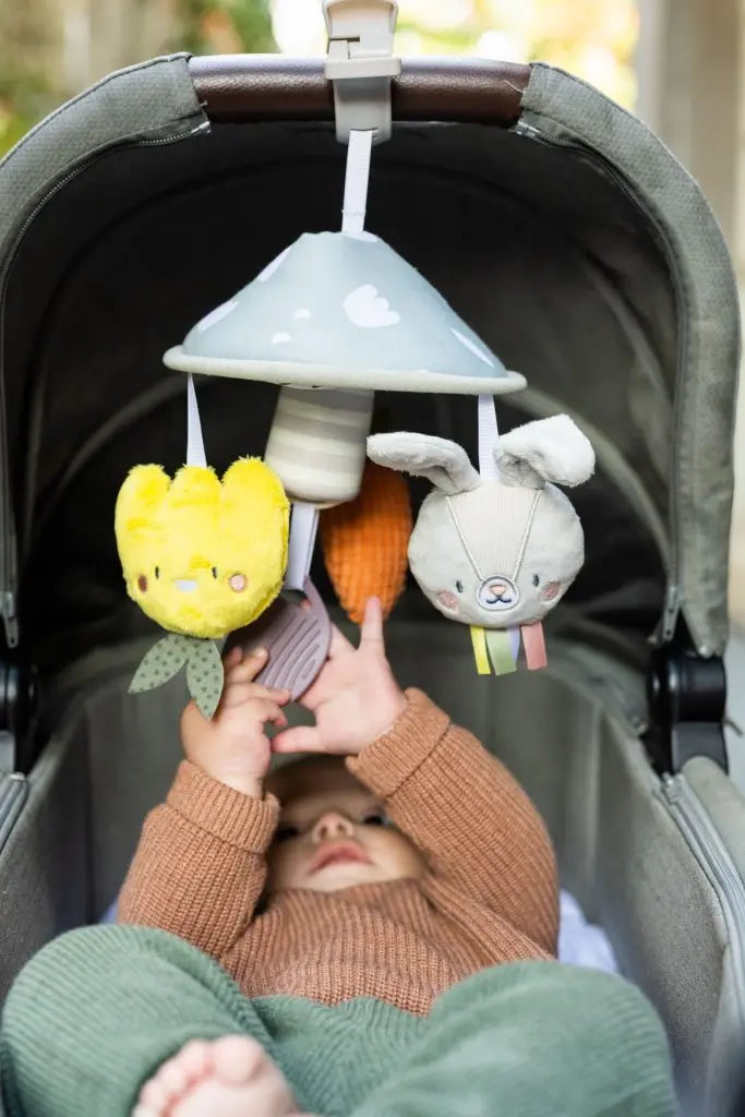 Taf Toys Urban Garden Pram Mobile