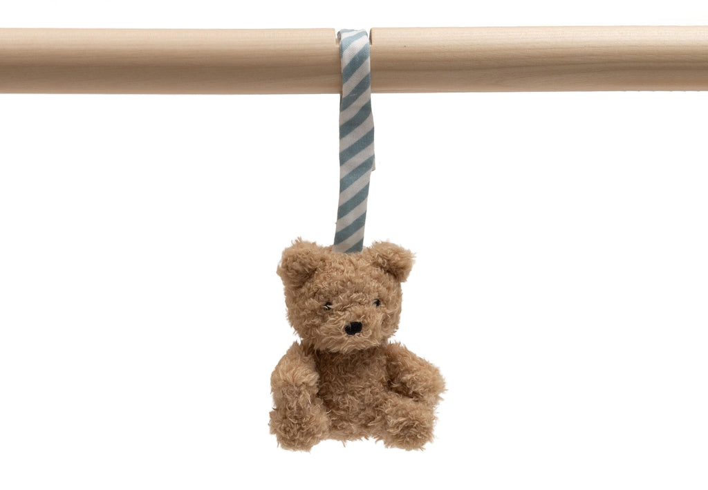 Jollein Babygym speeltjes | Jollies