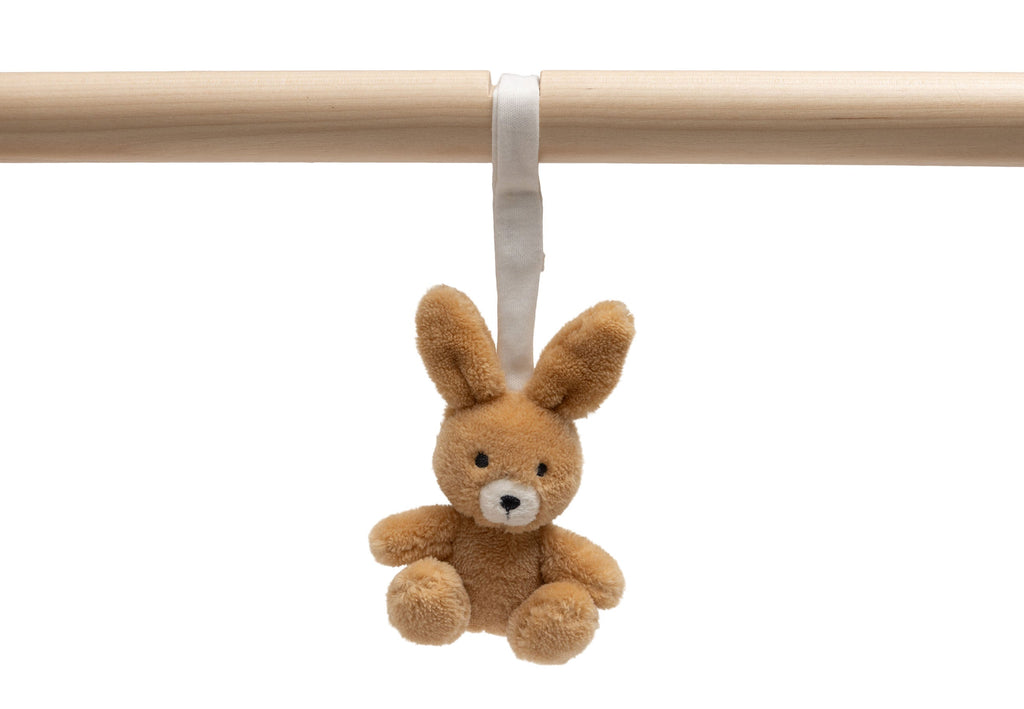 Jollein Babygym speeltjes | Jollies