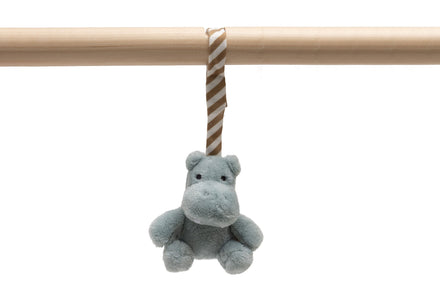 Jollein Babygym speeltjes | Jollies