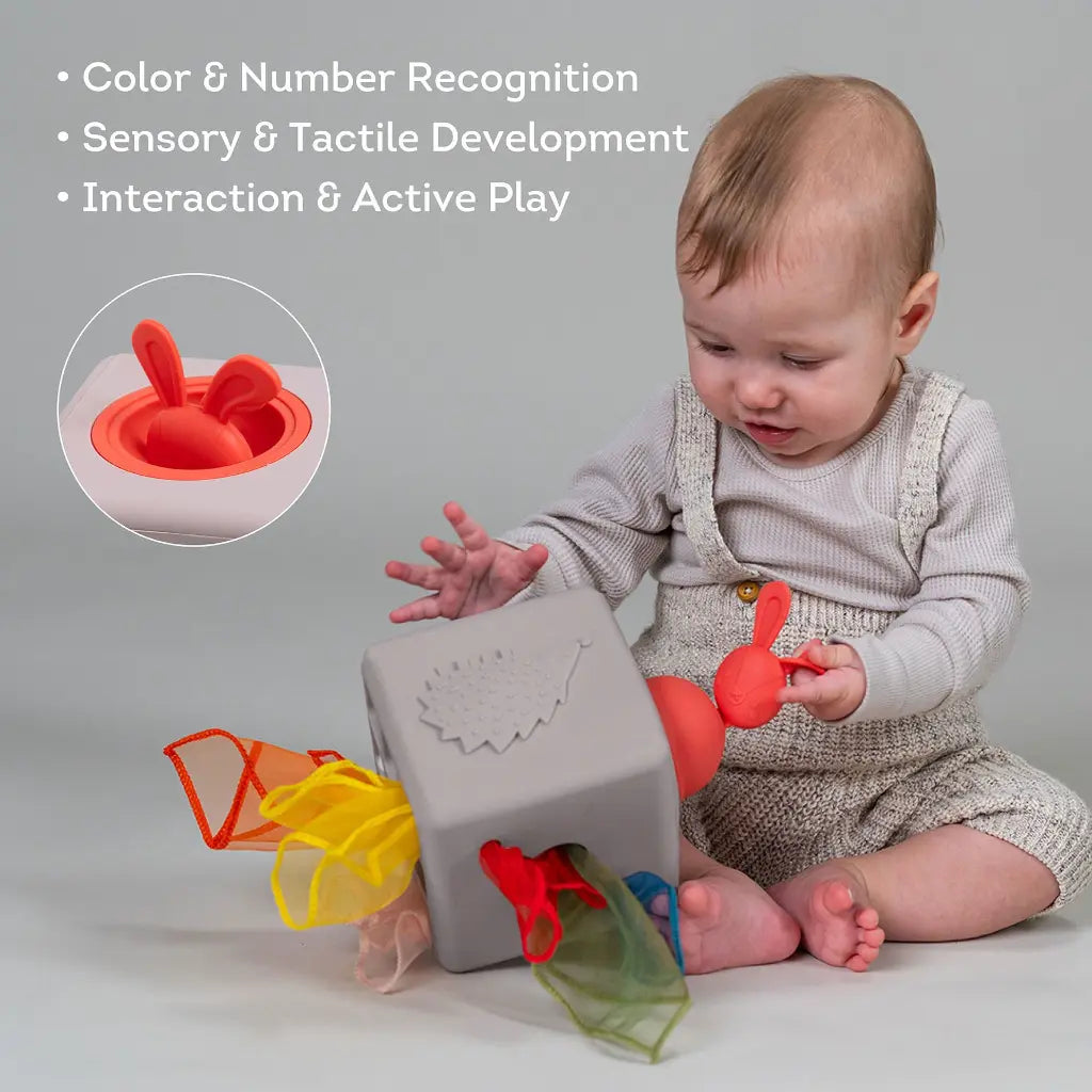Taf Toys Pop-Up Tissue Box