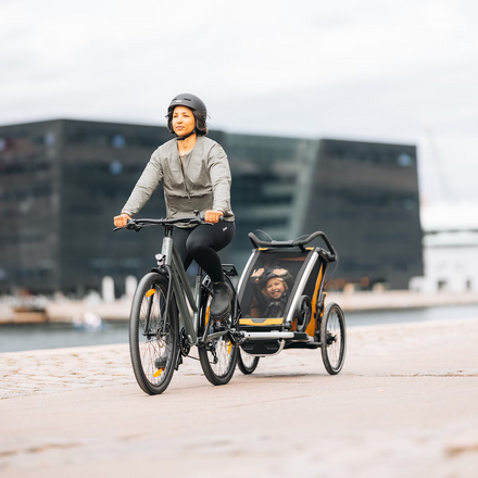 Thule Chariot Sport 2 Dubbel | Natural Gold