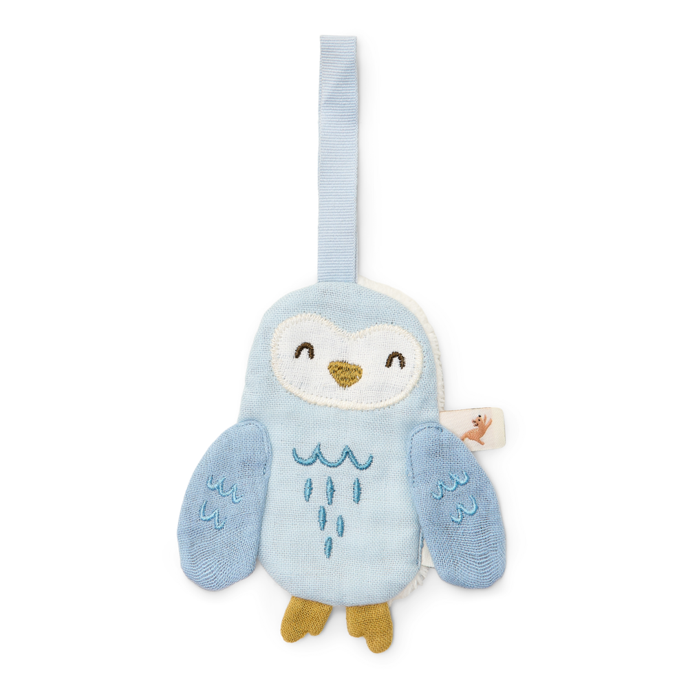 Little Dutch Speendoekje Uil | Forest Friends Blauw