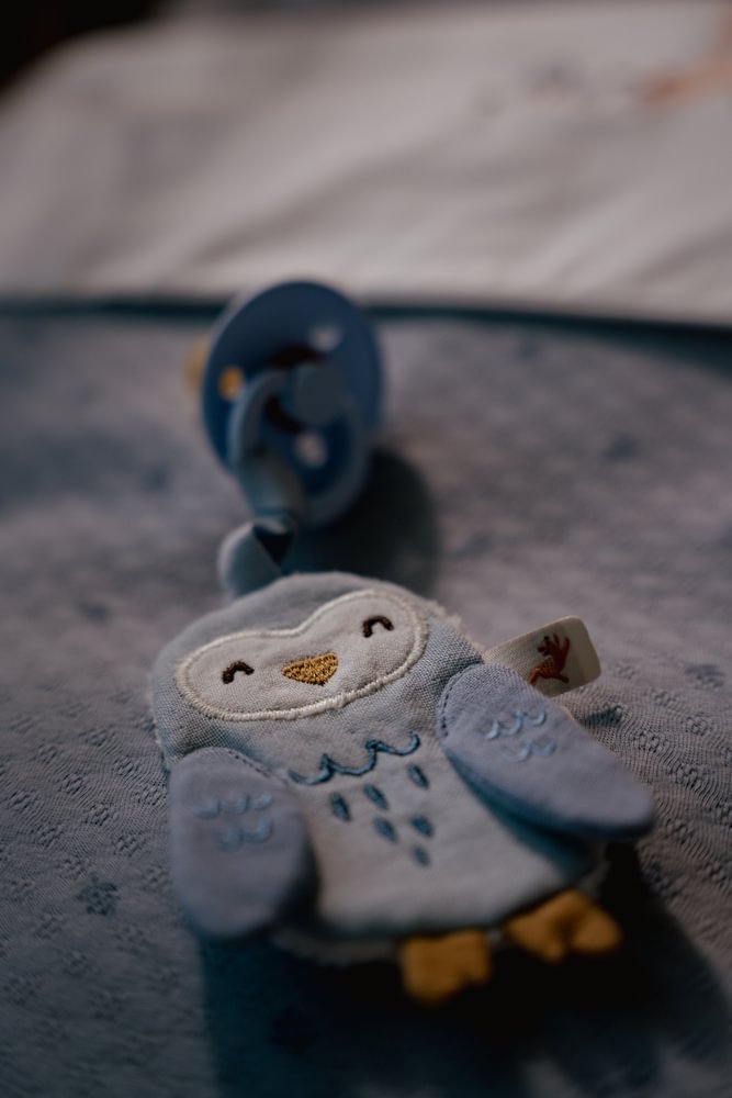 Little Dutch Speendoekje Uil | Forest Friends Blauw