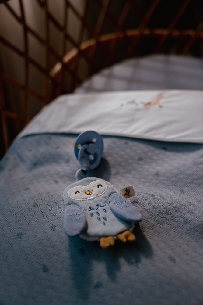 Little Dutch Speendoekje Uil | Forest Friends Blauw