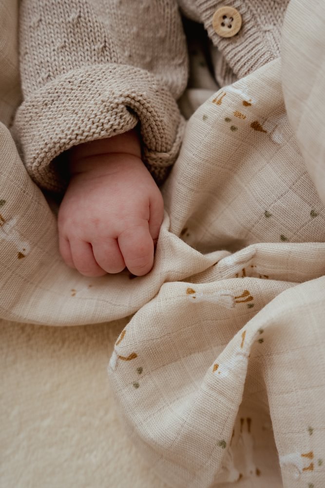 Little Dutch Swaddle Doek Hydrofiel Little Goose 120x120 | Beige