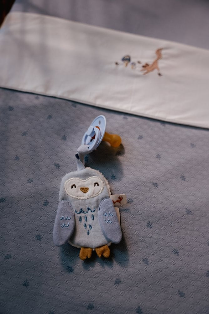 Little Dutch Speendoekje Uil | Forest Friends Blauw