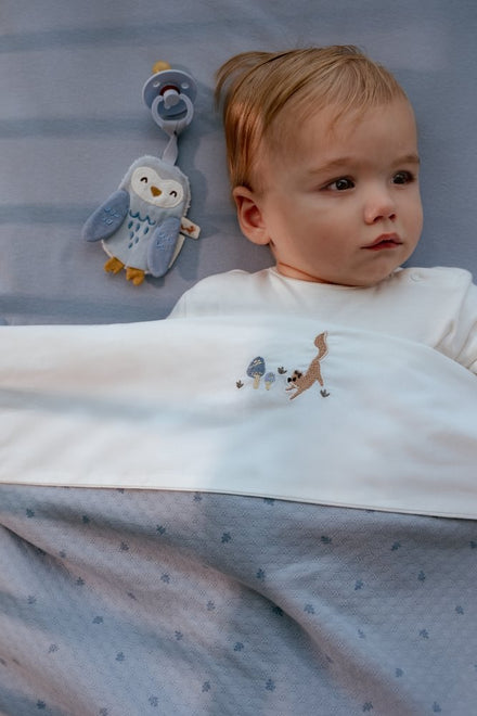 Little Dutch Speendoekje Uil | Forest Friends Blauw