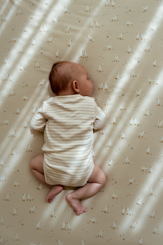 Little Dutch Ledikantdeken Little Goose 110x140 | Beige