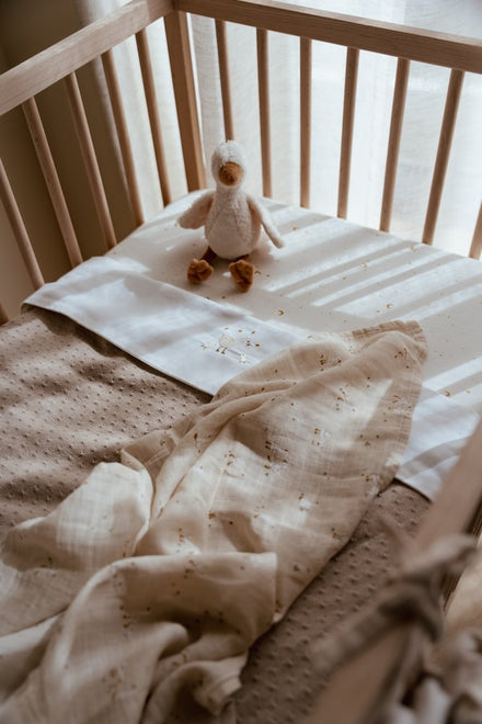 Little Dutch Wieglaken Geborduurd Little Goose 70x100 | Wit