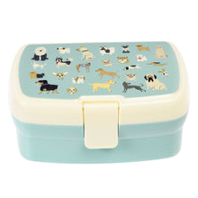 Handige Lunchbox met tray | Best In Show