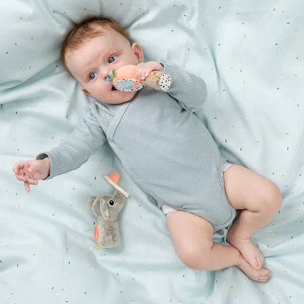 Done By Deer Sensorisch Babyspeeltje | Celebration Colour Mix