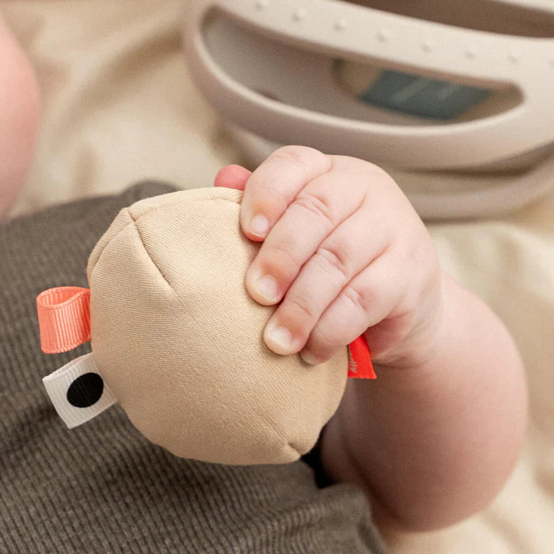 Done By Deer Grip & Bijtspeeltje | Clucky Sand