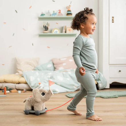 Done By Deer Trekspeeltje 2-in-1 | Elphee Sand