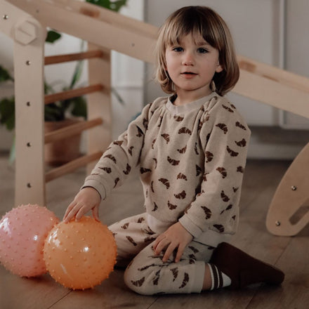 Find That Hippo Sensorische Ballen Set 2 | Rozebruin / Roodbruin