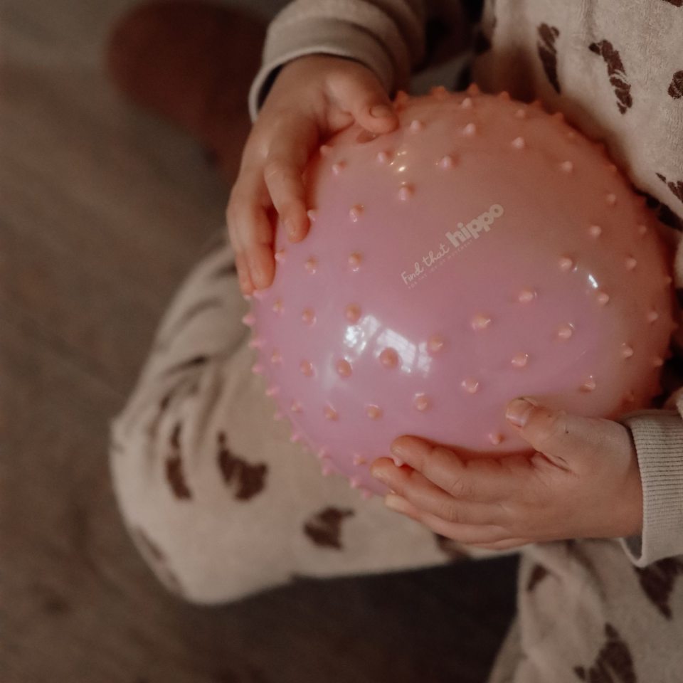 Find That Hippo Sensorische Ballen Set 2 | Rozebruin / Roodbruin