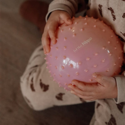 Find That Hippo Sensorische Ballen Set 2 | Rozebruin / Roodbruin