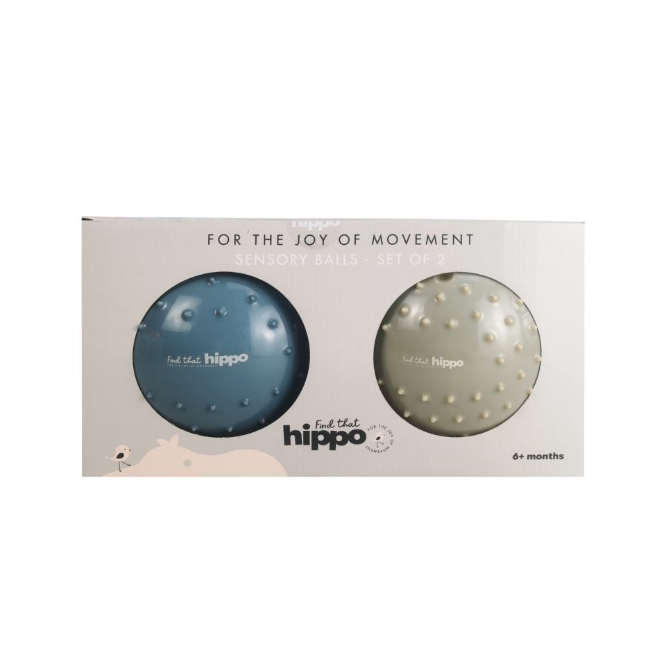Find That Hippo Sensorische Ballen Set 2 | Metallic Blauw / Kaki