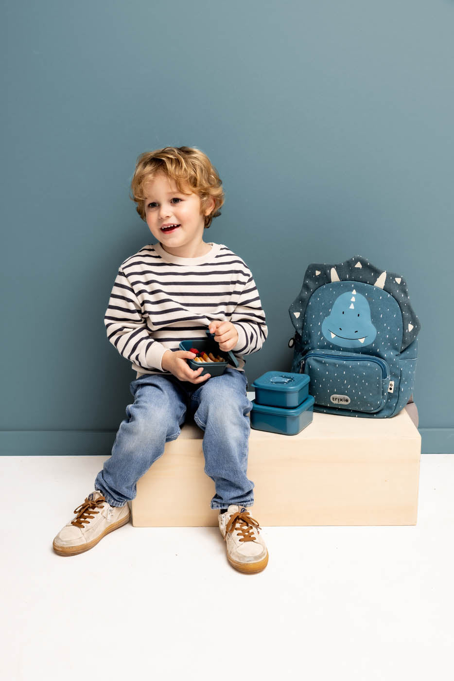 Trixie Snack Box Nesting 3PCS | Mr. Triceratops