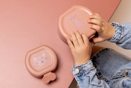 Trixie Snack Box Met Clip 2PCS | Mrs. Cat