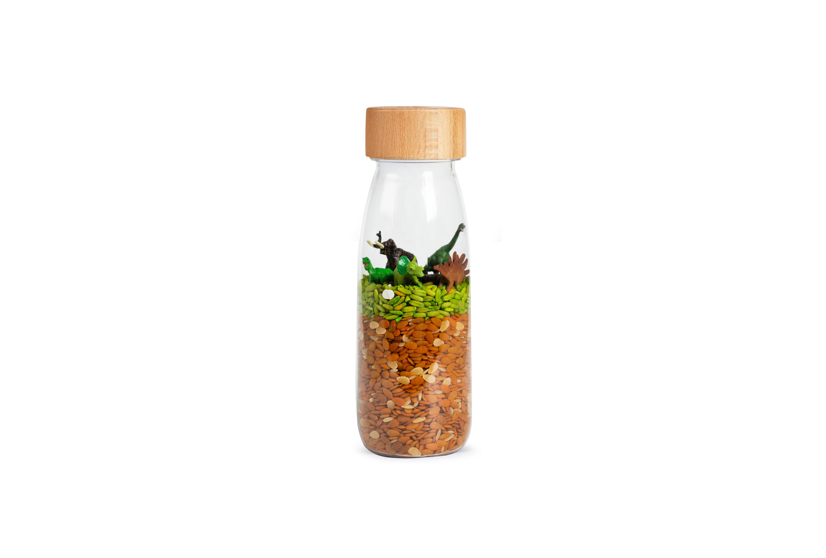 Petit Boum Sensorische Fles | Jurrasic