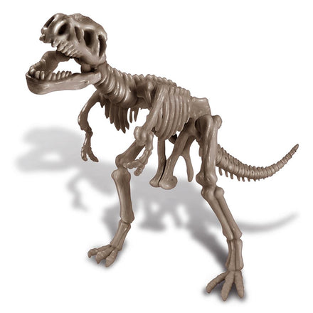 4M Dig A Dinosaur Skeleton I Tyrannosaurus Rex*