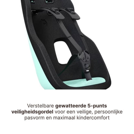 Thule Yepp Nexxt 2 Maxi Fietsstoel Achterop Frame Montage I Mint Green
