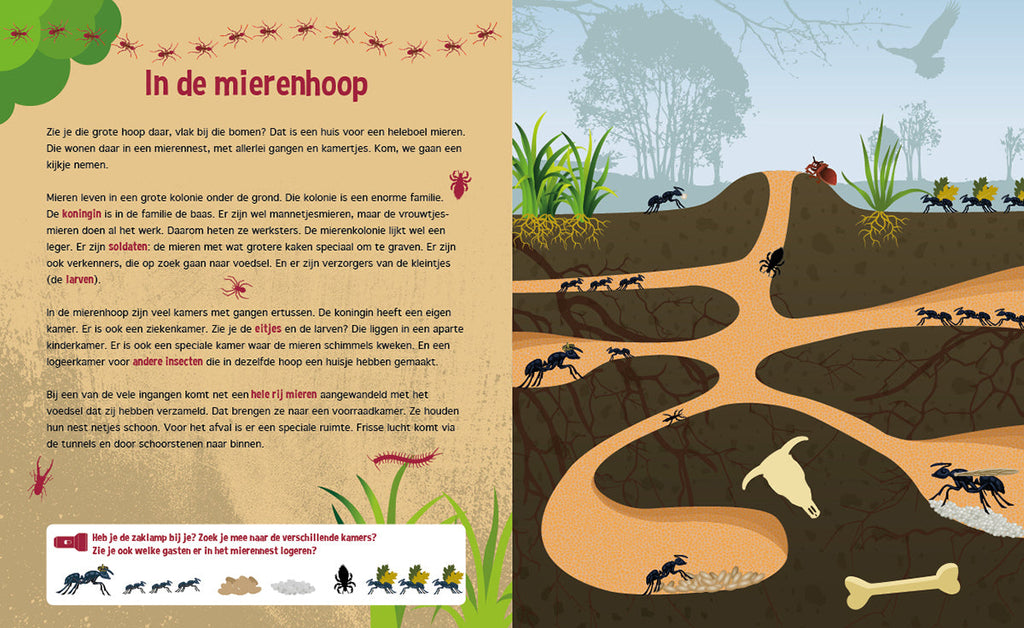 De Lantaarn Speuren Onder De Grond | Voorleesverhaal