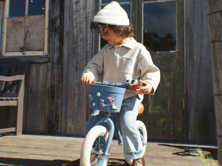 Banwood Fietsmandje Pin & Ride | Deepsea