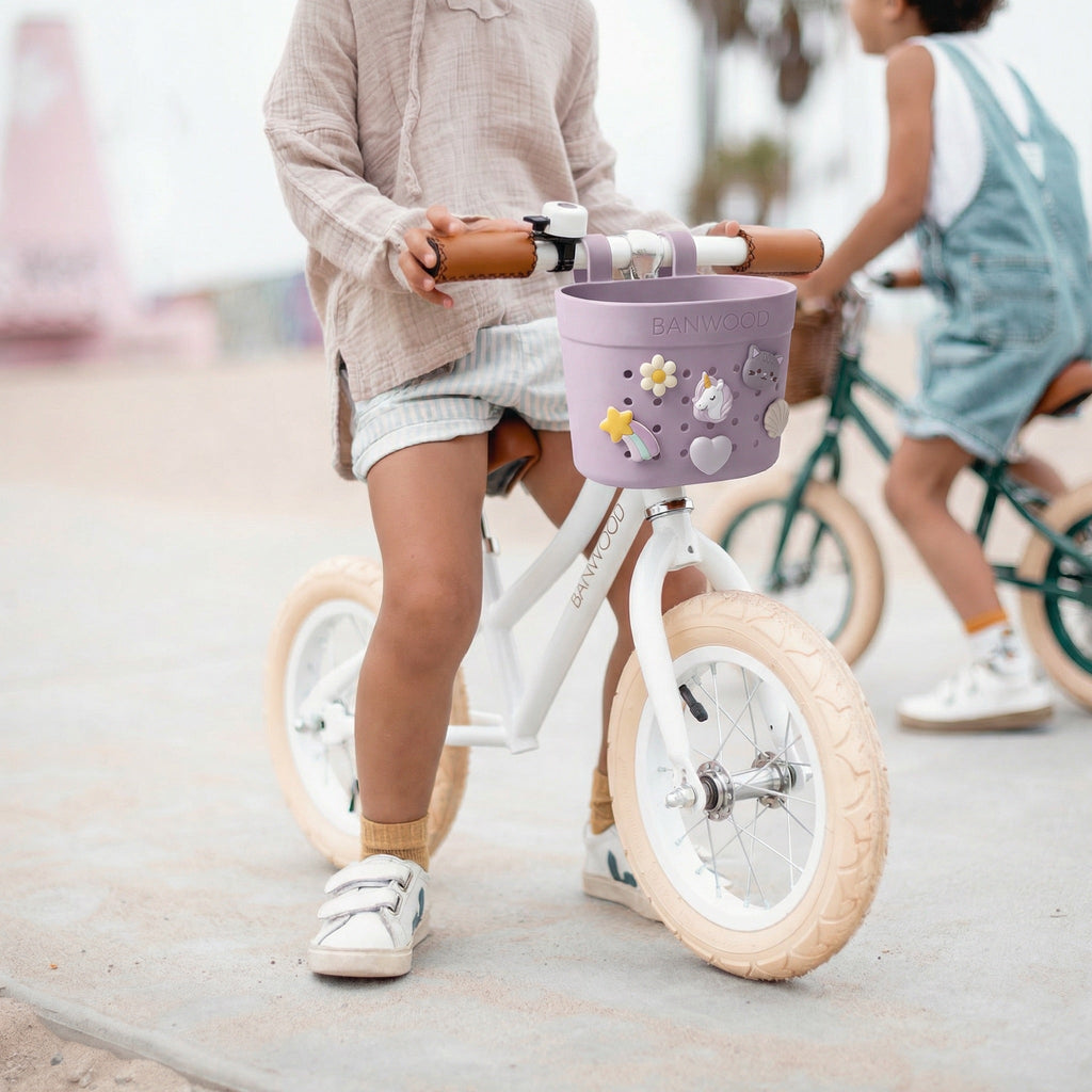 Banwood Fietsmandje Pin & Ride | Lavendel