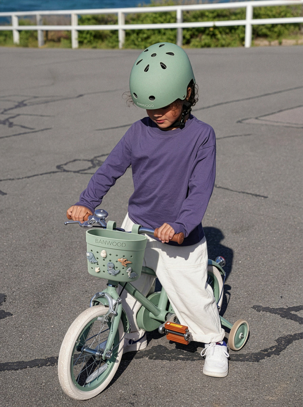 Banwood Fietsmandje Pin & Ride | Olive