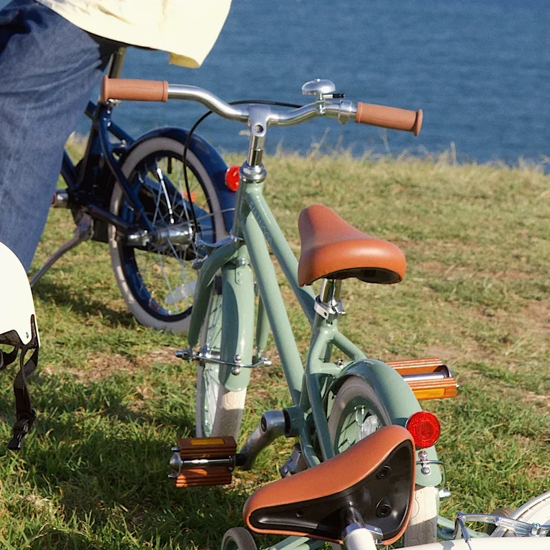 Banwood Fiets Classic Vintage 16" | Forest