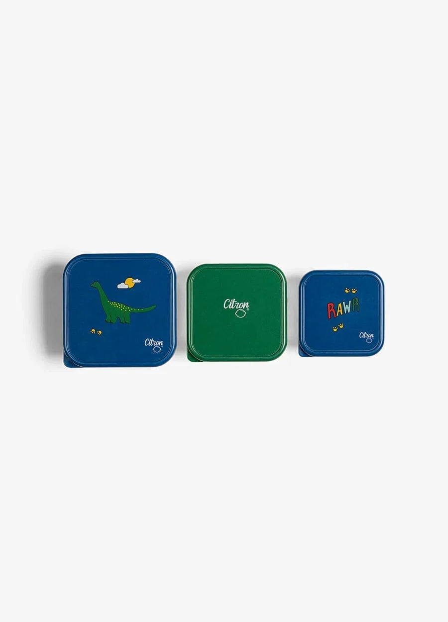Citron RVS Snack Box Set met Blue Dino print, set van 3 bij De Gele Flamingo
