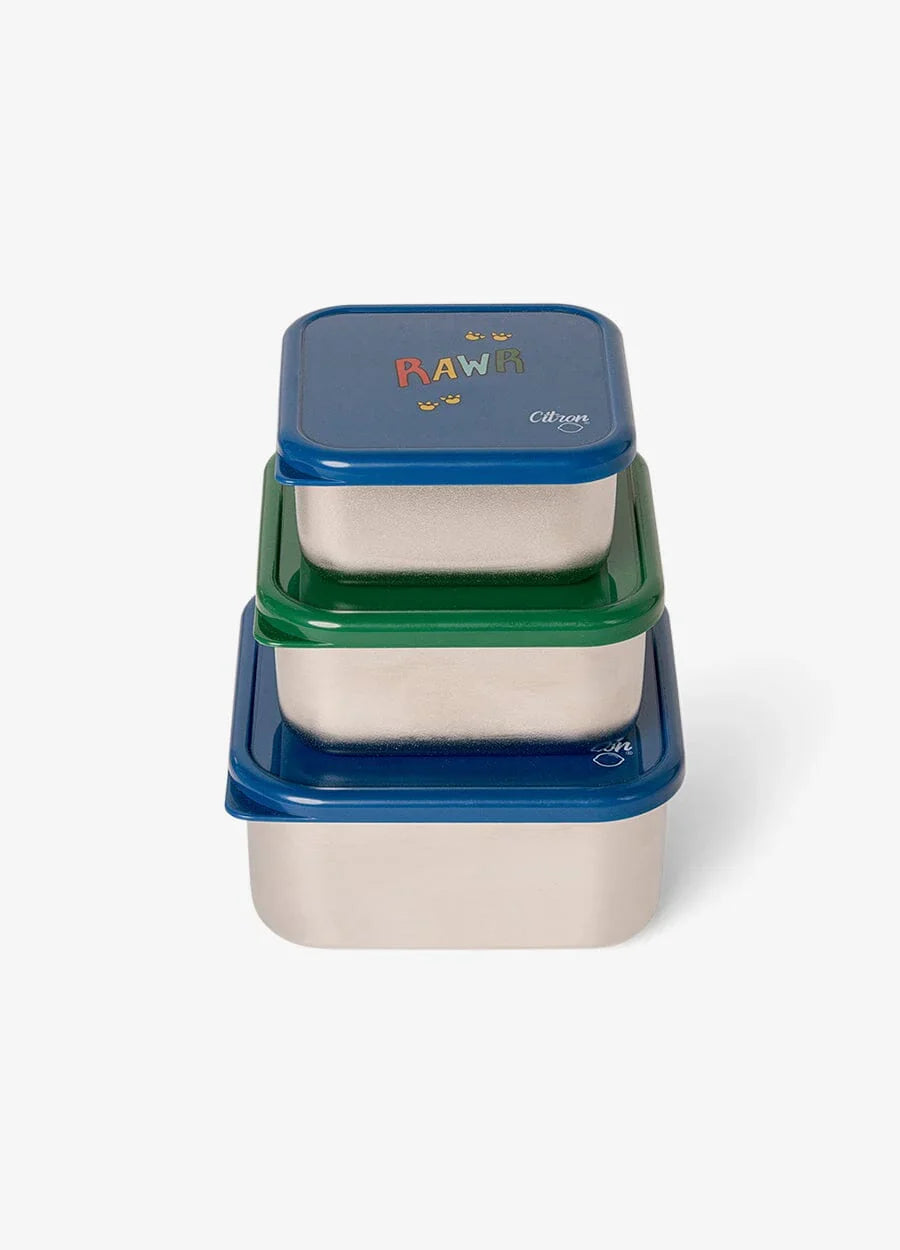 Citron RVS Snack Box Set met Blue Dino print, set van 3 bij De Gele Flamingo