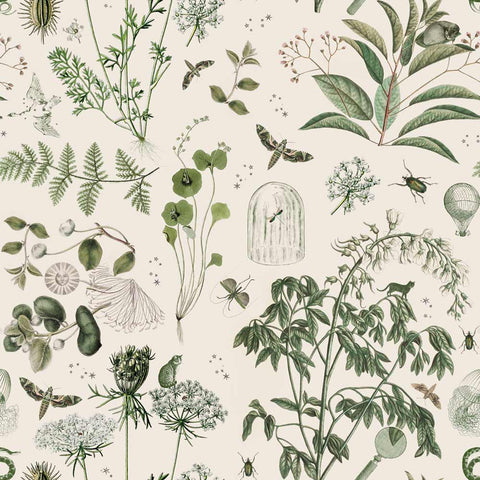 Dekornik Behangpapier Green Botanical Stories