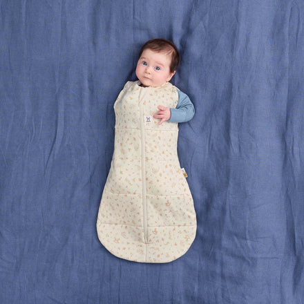 Ergopouch Cocoon Inbaker Slaapzak 3-6M 62-68cm Tog 2.5 | Lullaby