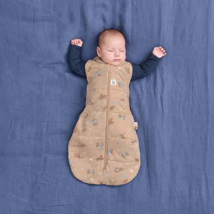 Ergopouch Cocoon Inbaker Slaapzak 3-6M 62-68cm Tog 2.5 | Melody