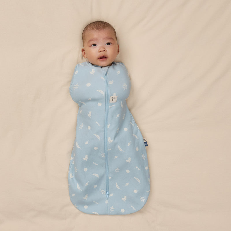 Ergopouch Cocoon Inbaker Slaapzak 3-6M 62-68cm Tog 2.5 | Ducks