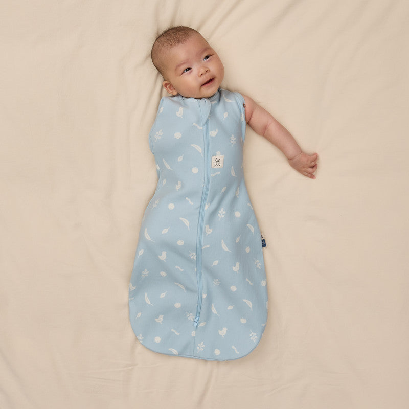 Ergopouch Cocoon Inbaker Slaapzak 0-3M 62cm Tog 2.5 | Ducks