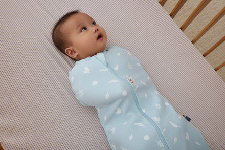 Ergopouch Cocoon Inbaker Slaapzak 3-6M 62-68cm Tog 2.5 | Ducks
