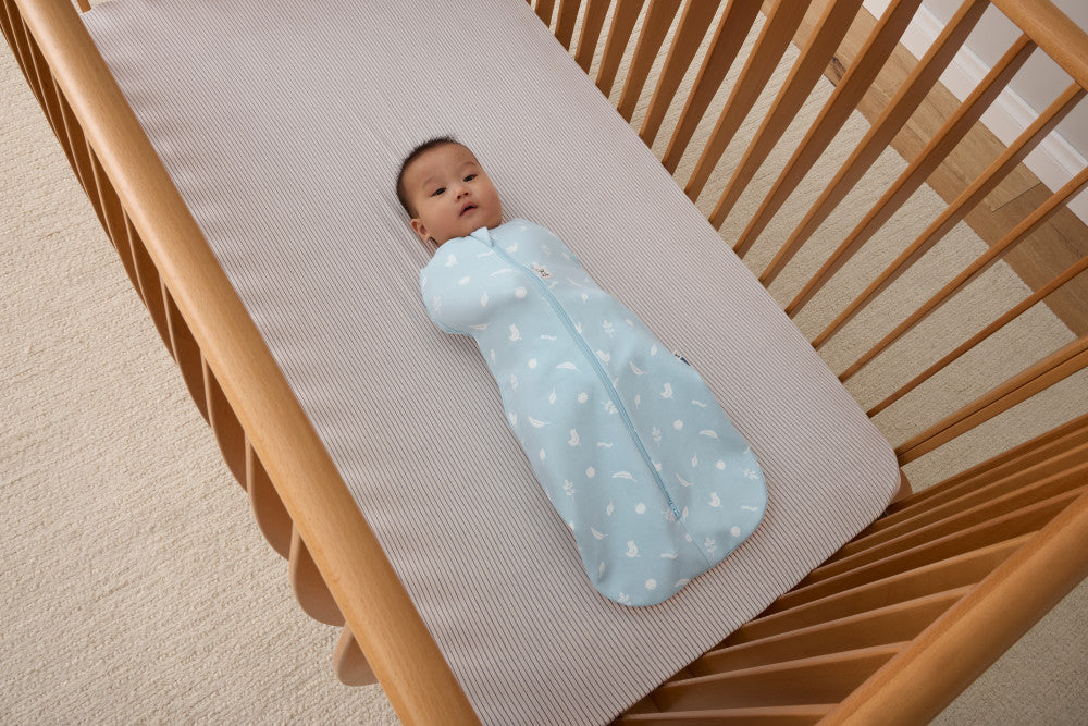 Ergopouch Cocoon Inbaker Slaapzak 0-3M 62cm Tog 2.5 | Ducks