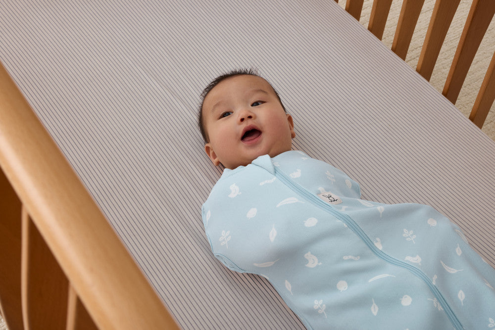 Ergopouch Cocoon Inbaker Slaapzak 3-6M 62-68cm Tog 2.5 | Ducks