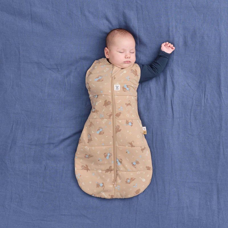 Ergopouch Cocoon Inbaker Slaapzak 0-3M 62cm Tog 2.5 | Melody