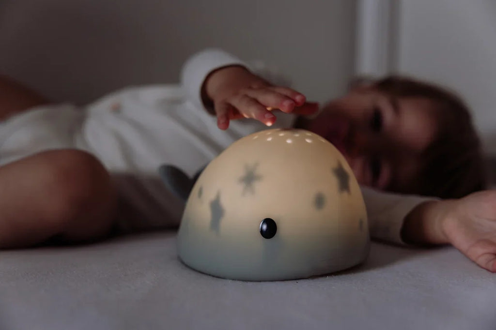 Flow Amsterdam Projector | Moby Groen