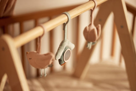 Jollein Babygym Speeltjes Lovely Birds