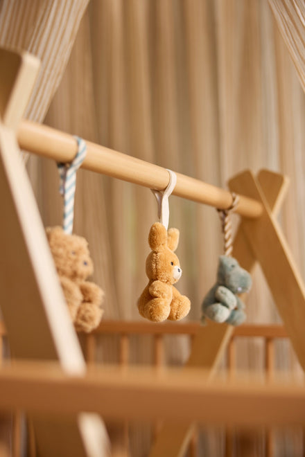 Jollein Babygym speeltjes | Jollies