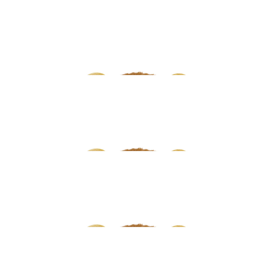 Kidywolf Kidyears Bluetooth Hoofdset Met Magnetische Oren 85 Db | Leeuw