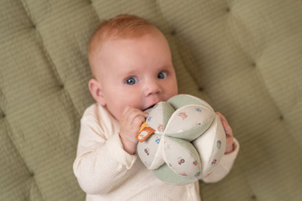 * Little Dutch Grijpbal Activiteitenbal | Little Farm