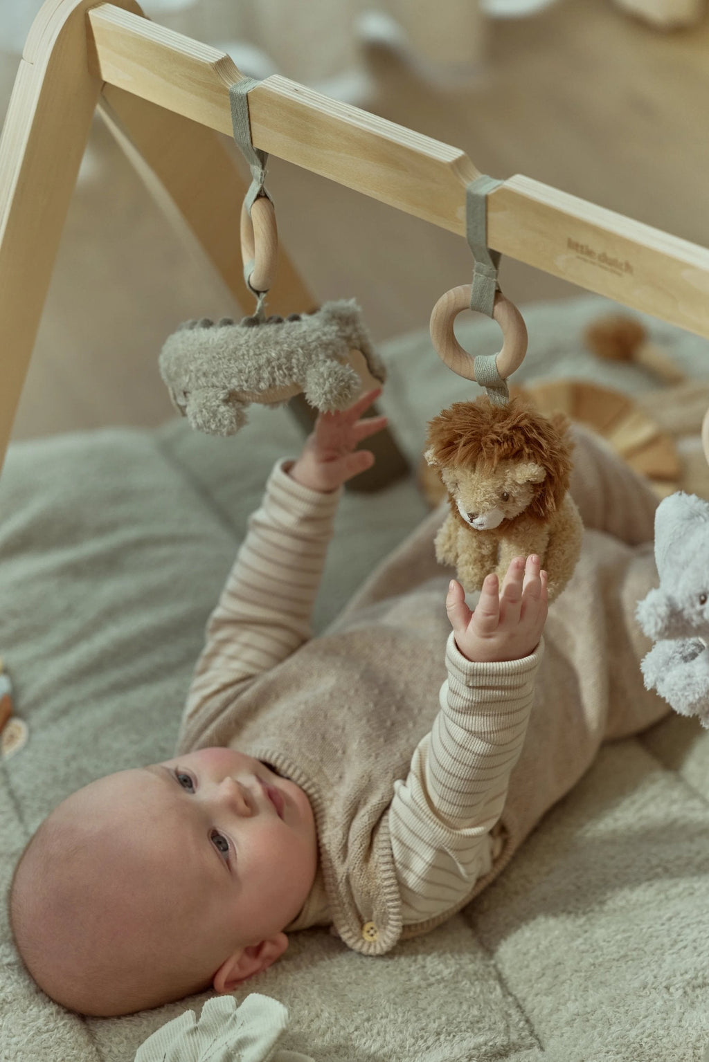 Little Dutch Babygym Safari Friends